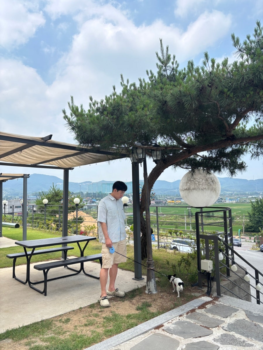 그린브리즈 사진 5