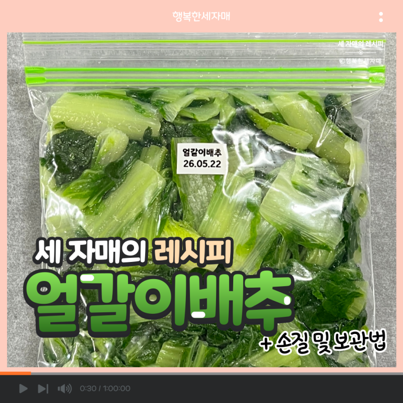 [세 자매의 레시피] 다양하게 활용할 수 있는! 얼갈이배추 손질 및 보관법