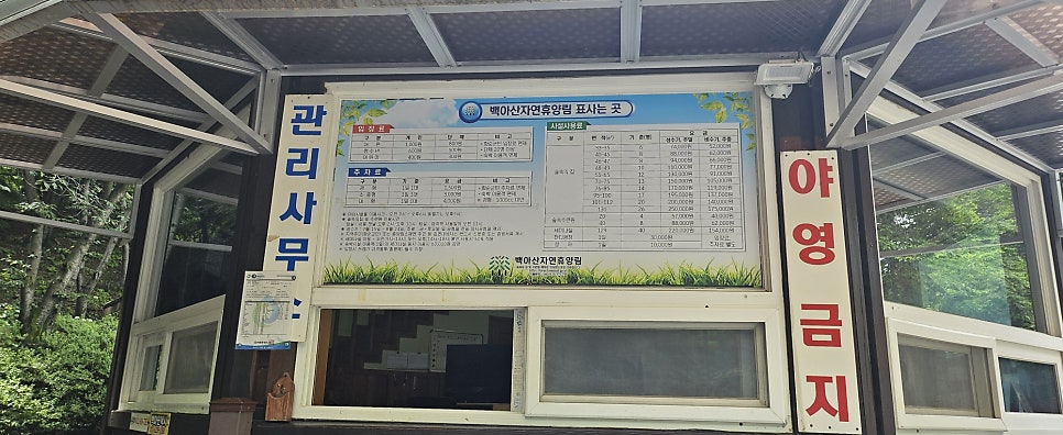 백아산자연휴양림 사진 3