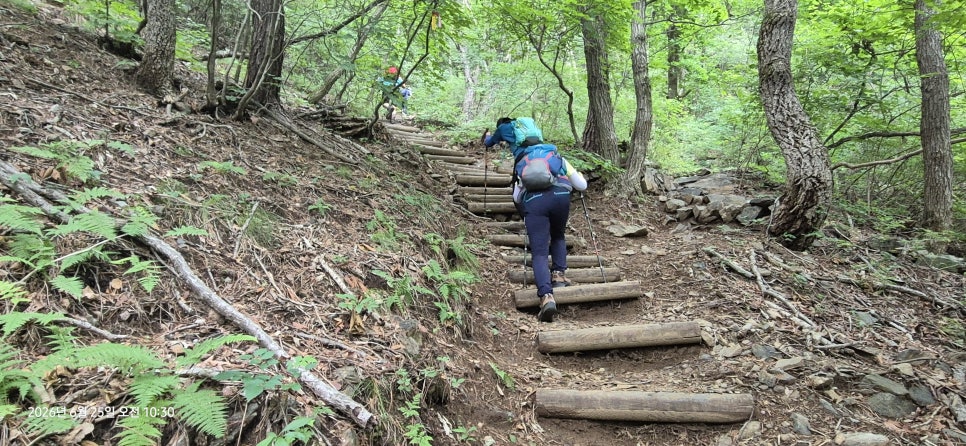 천덕산 사진 4