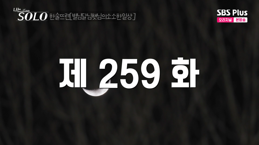 은화별채 사진 2