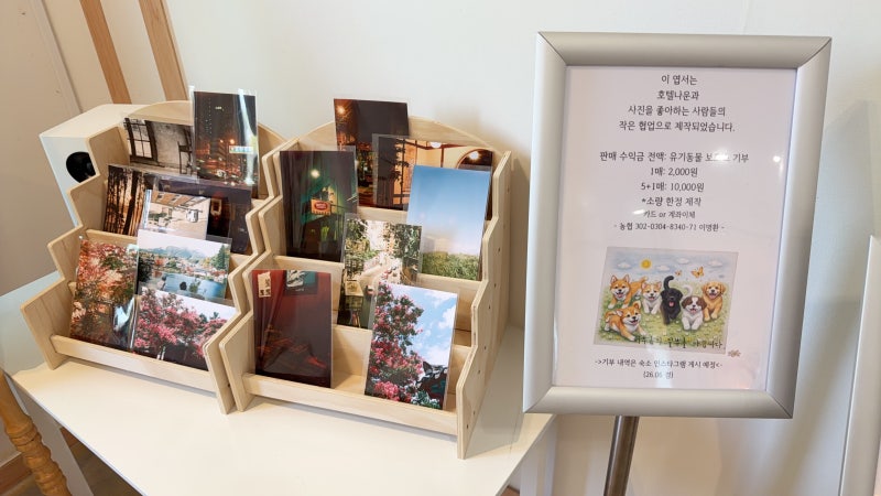 군산 호텔나운 반려견동반 가성비 좋은 숙소 조식제공