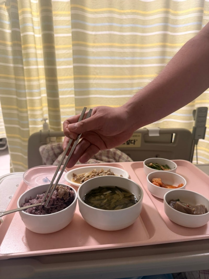 창원 파티마병원 입원기 / 난소낭종, 난소염전 응급수술