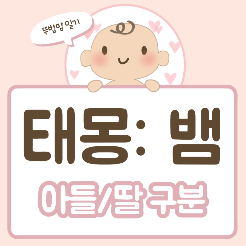 태몽 뱀꿈 아들일까, 딸일까? 크기, 색상, 행동, 개수 총정리