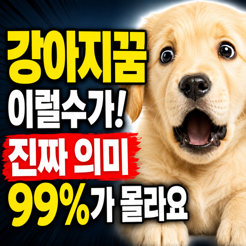 강아지꿈 해몽 새끼 하얀 검은 죽은 개가 뜻하는 진짜 의미