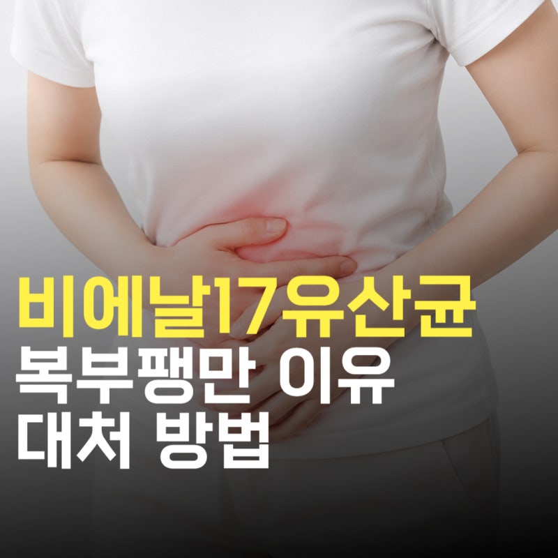 비에날17유산균 복부팽만 생기는 이유와 해결 대처 방법 정리