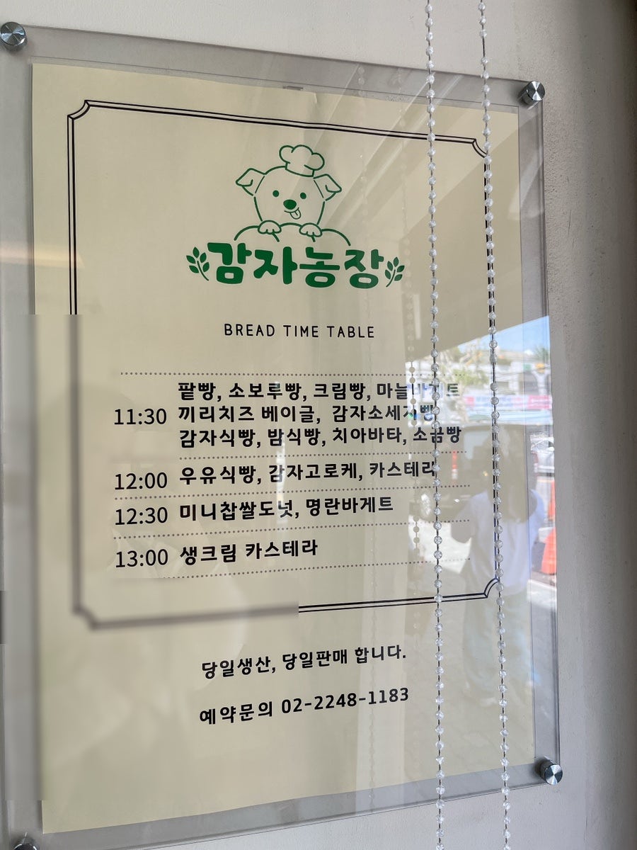 감자농장 사진 5