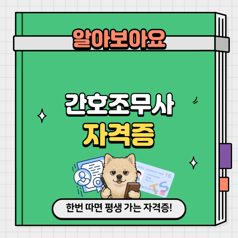 간호조무사자격증 시험 일정, 난이도, 과목, 취득 꿀팁, 취업 후 월급까지 한 번에 정리