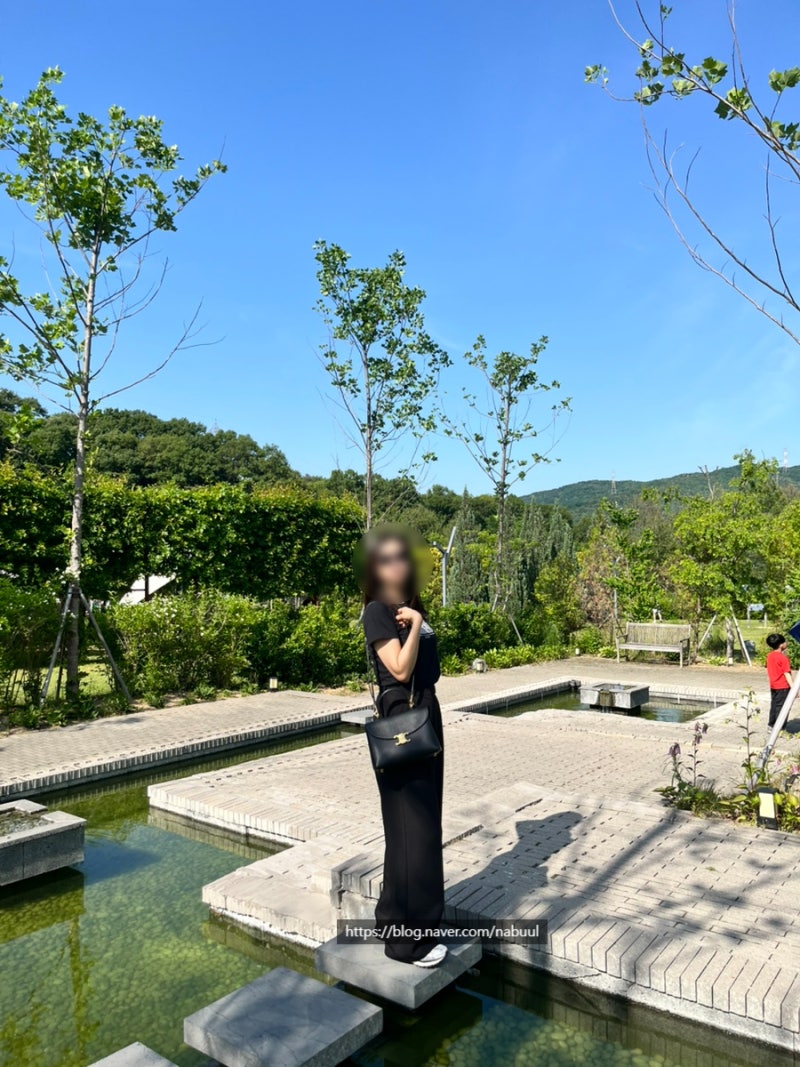 [프로포즈백 추천] 셀린느 미디엄 니노백 블랙 언박싱 실착 후기