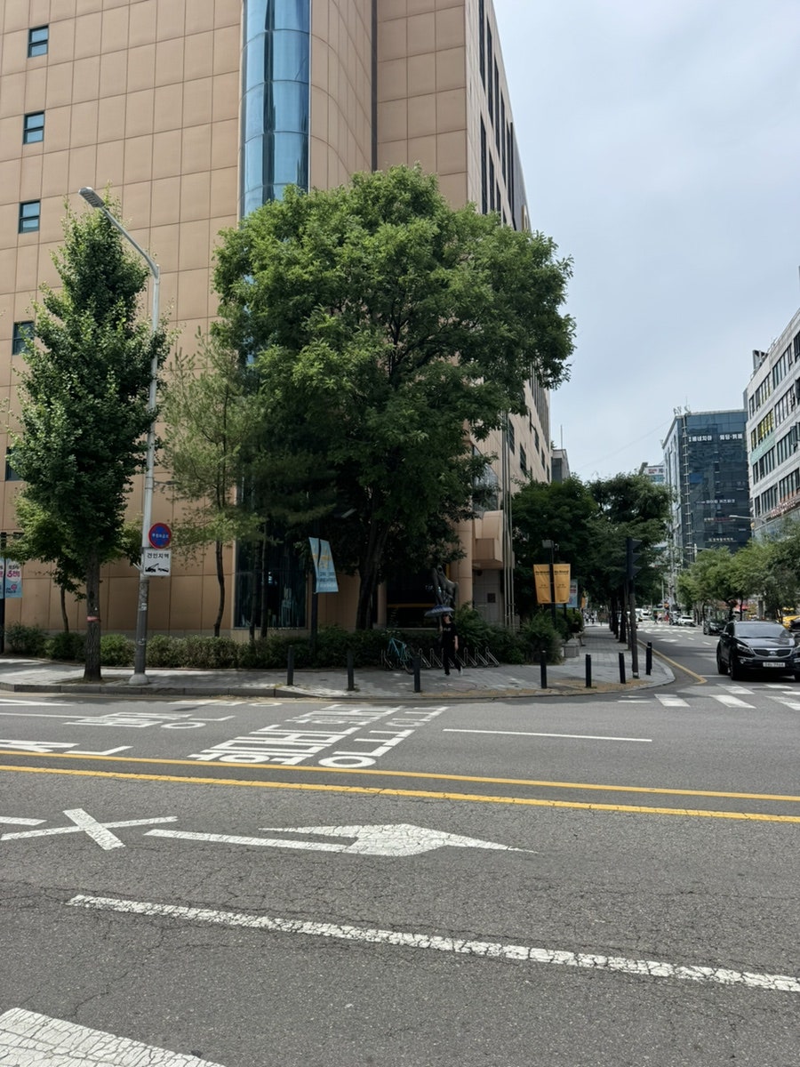 화정닭곰탕 사진 3