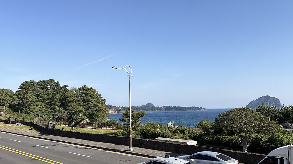 파우자 사진 5