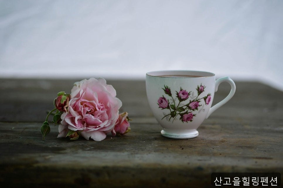 산고을힐링펜션 사진 3