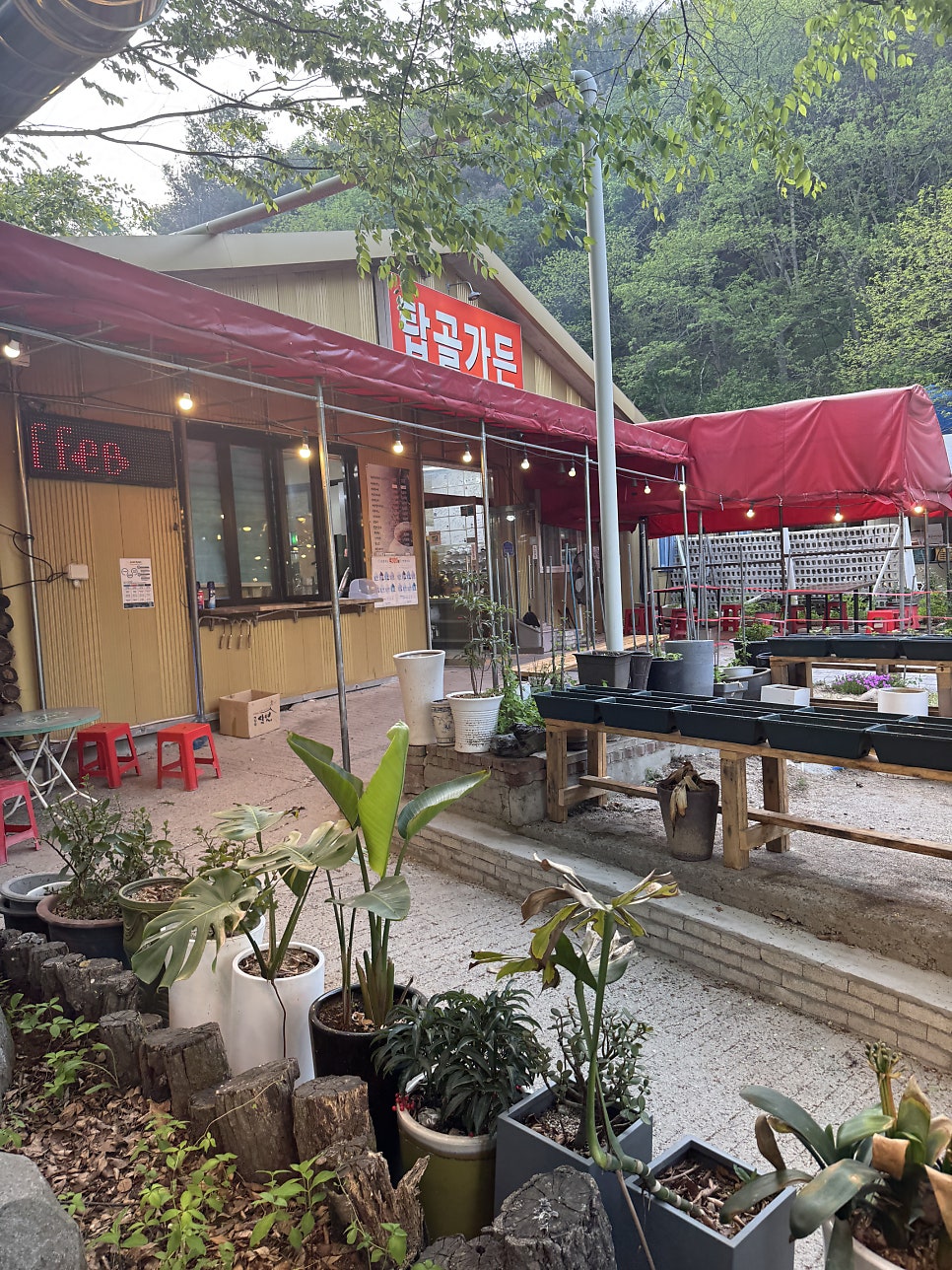 모리막국수 사진 3