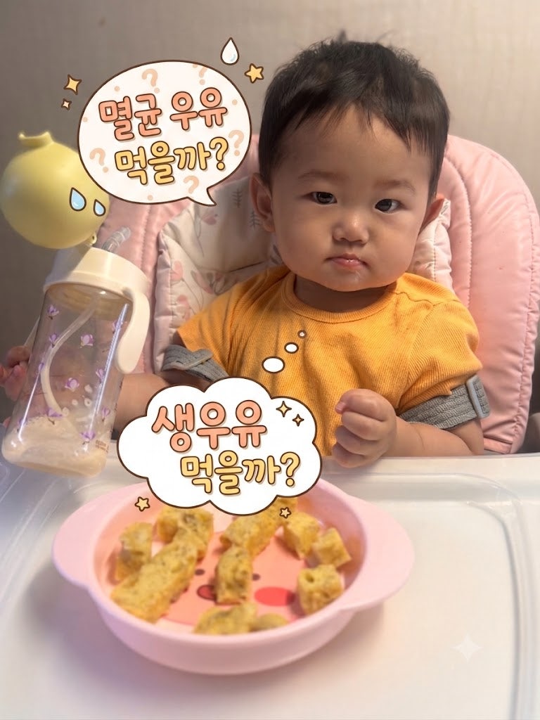 돌(12개월) 아기 첫 우유(생우유·멸균우유) 선택, 유당불내증 대처법까지 총정리!