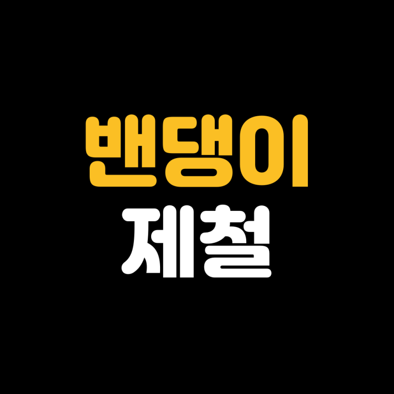 제철 밴댕이회 강화도 산지직송 가격 및 먹는법 총정리