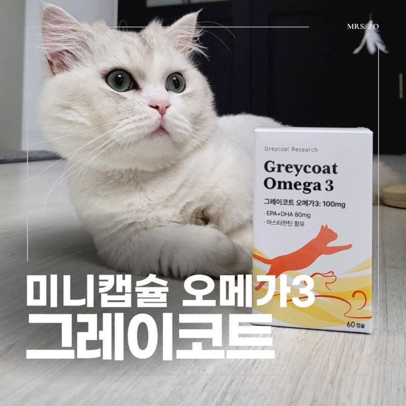 고양이 신장 영양제 추천, 오메가3 선택 기준부터 급여 후기까지