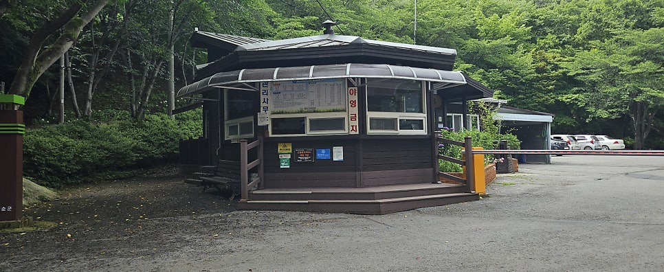 백아산자연휴양림 사진 2