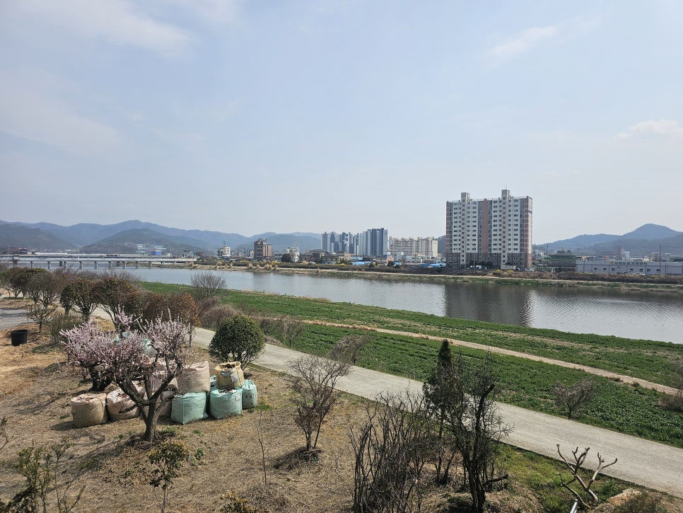 조아식당 사진 1
