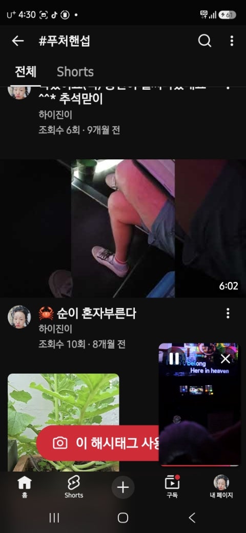 나눔오리 사진 5
