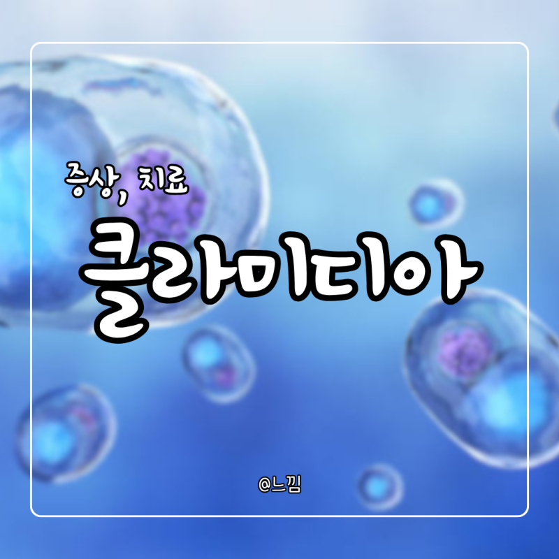 클라미디아 증상 전염 잠복기 원인