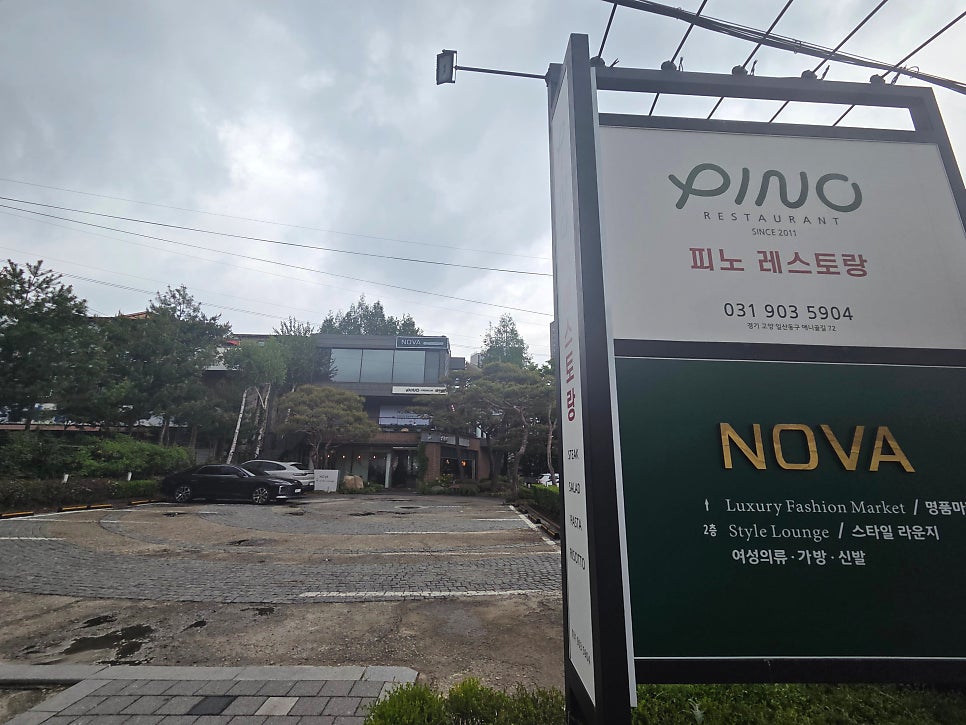 피노 사진 1