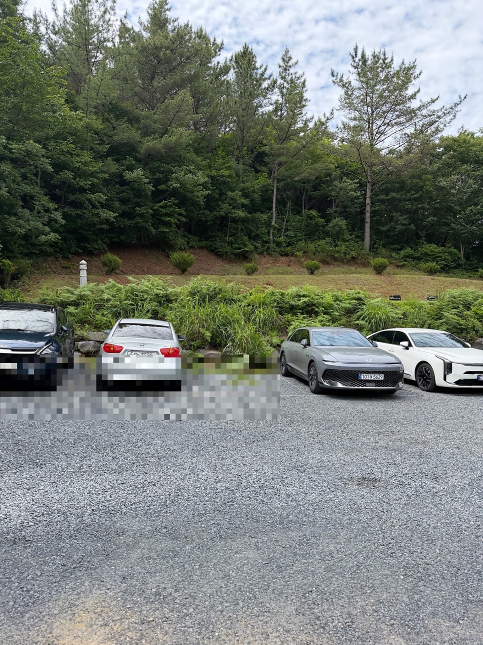 라벤더포레스트 사진 3