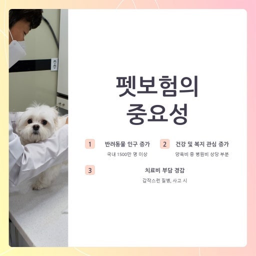 [반려인 재테크] 2026년 펫보험 가입 전 필수 체크리스트: 장단점 비교 및 주의사항 (자기부담....