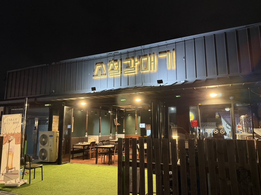 소철갈매기 사진 1