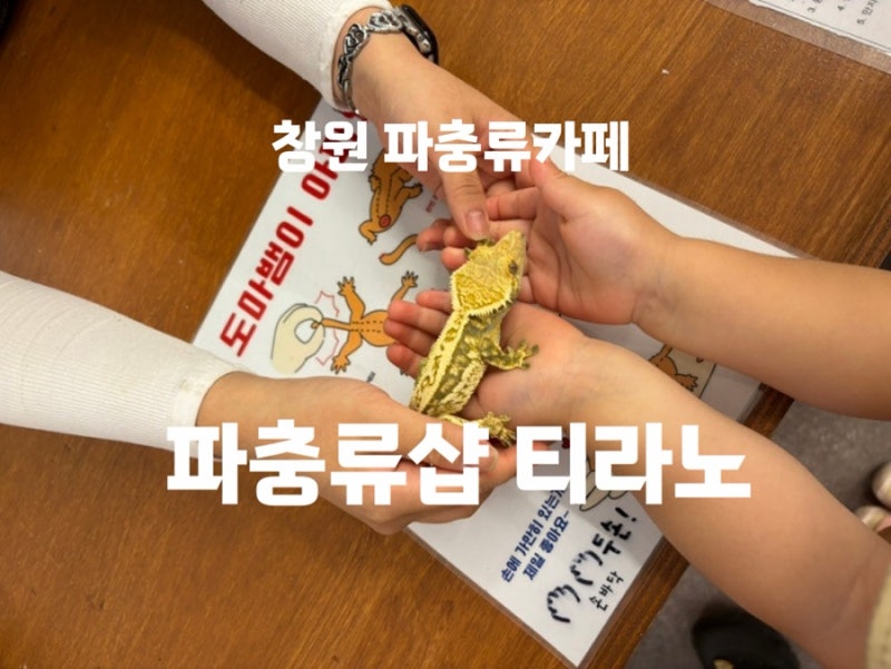 창원파충류샵 창원아이랑카페 파충류샵 티라노 방문후기
