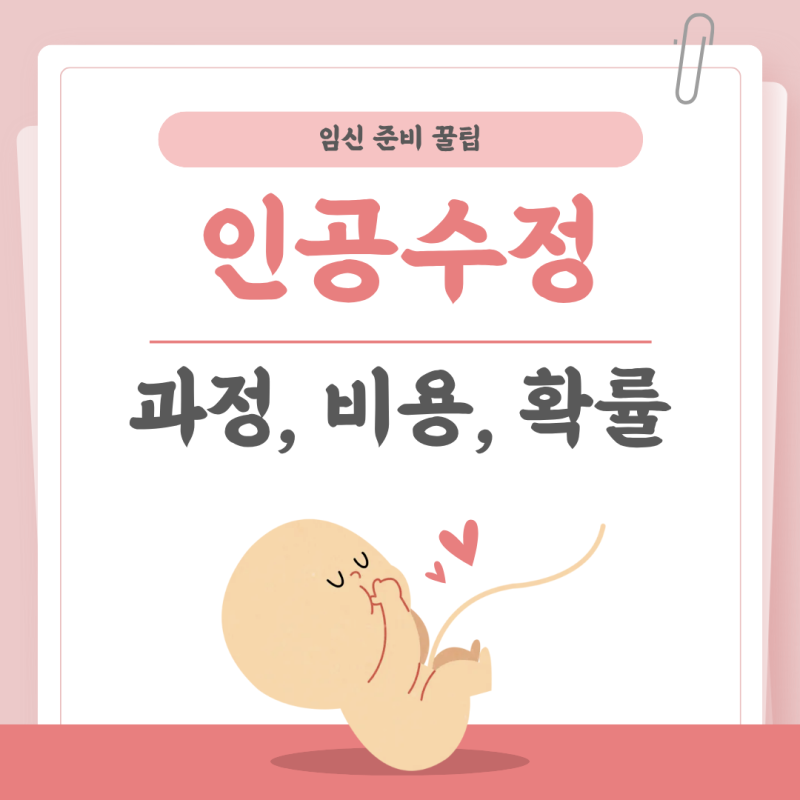 인공수정 확률 과정 순서 비용 피검사 임테기 언제?
