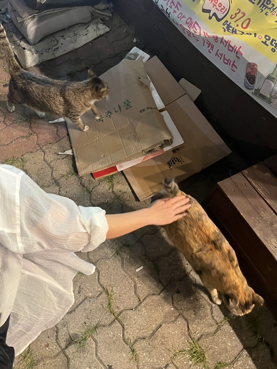 뚱이네포차 사진 6