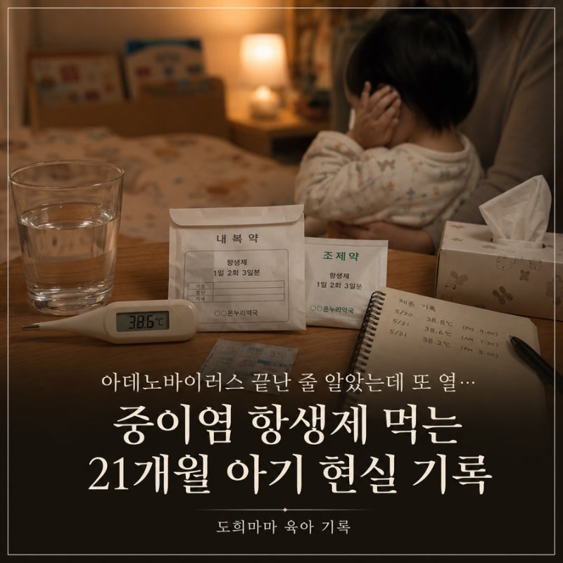 아데노바이러스 끝난 줄 알았는데 또 열… 중이염 항생제 먹는 21개월 아기 현실 기록