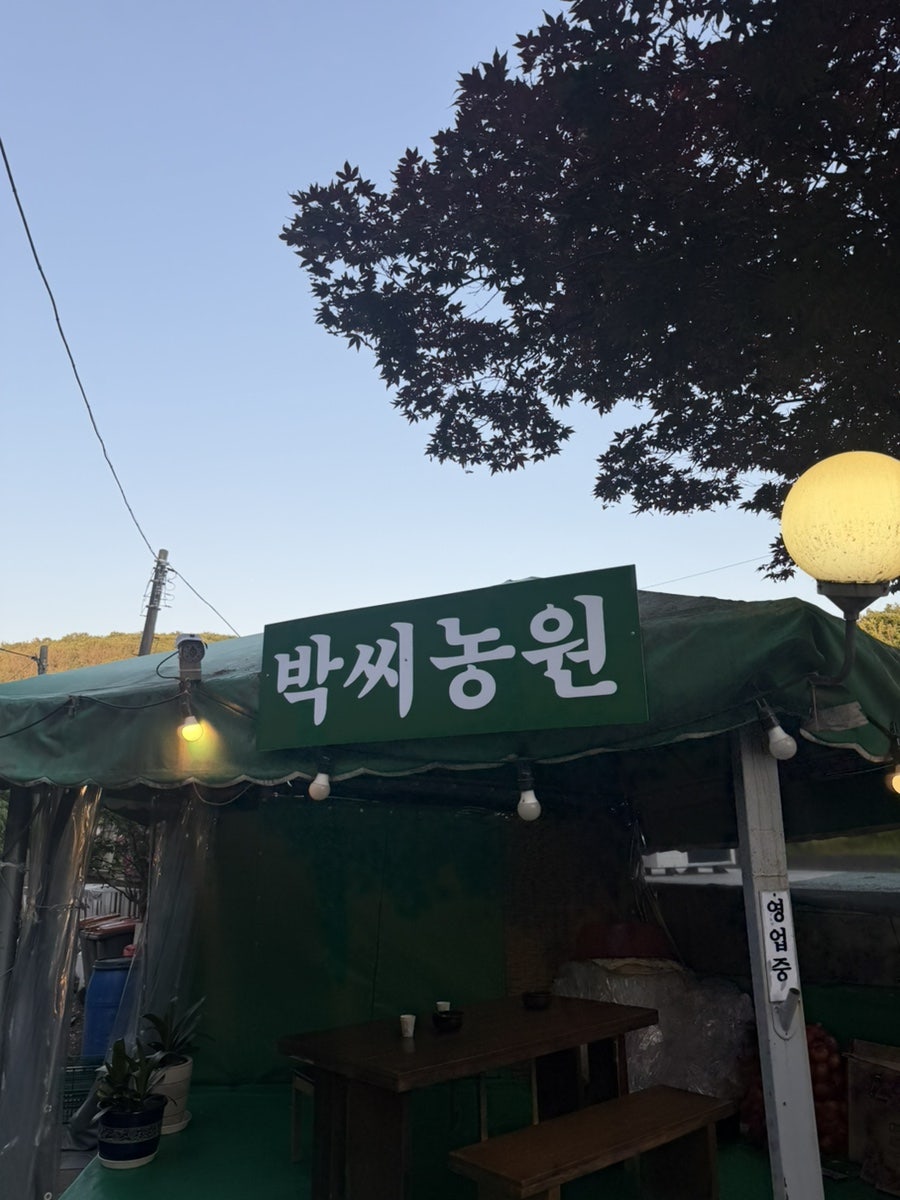 박씨농원 사진 2