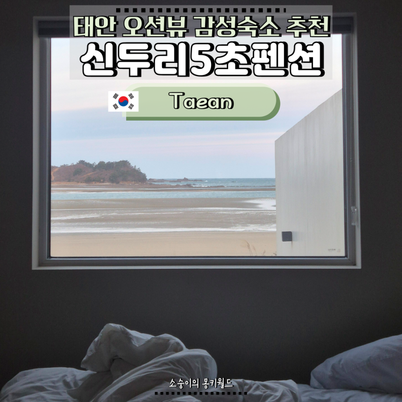 태안 펜션 추천, 바다까지 딱 5초 걸리는 역대급 태안 오션뷰 펜션 신두리5초펜션