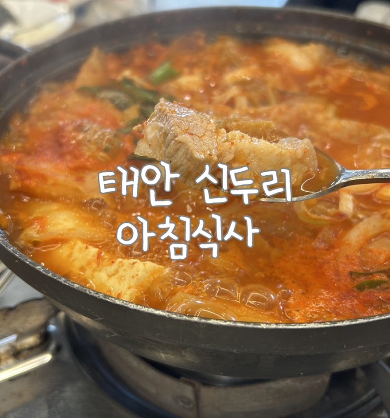 태안 신두리 아침식사 맛집 신두리식당 어촌집식당 비교 후기