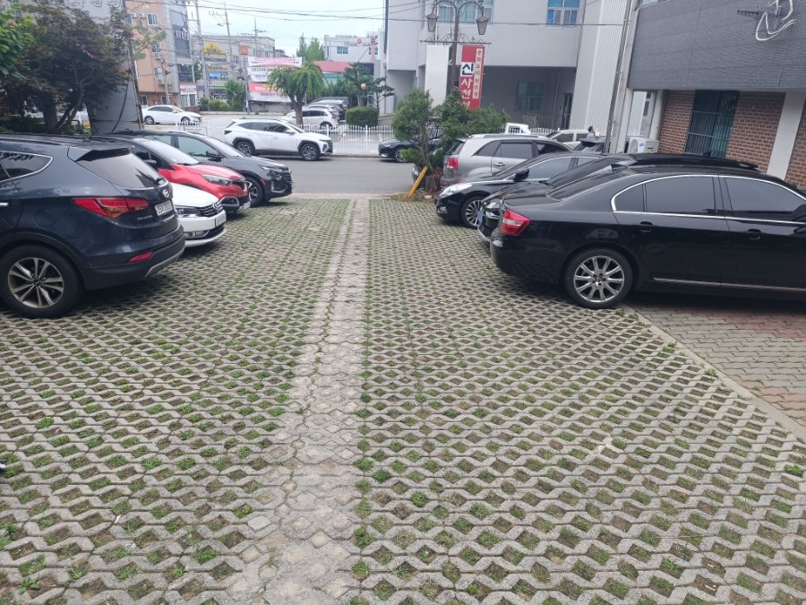 신사천성 사진 6