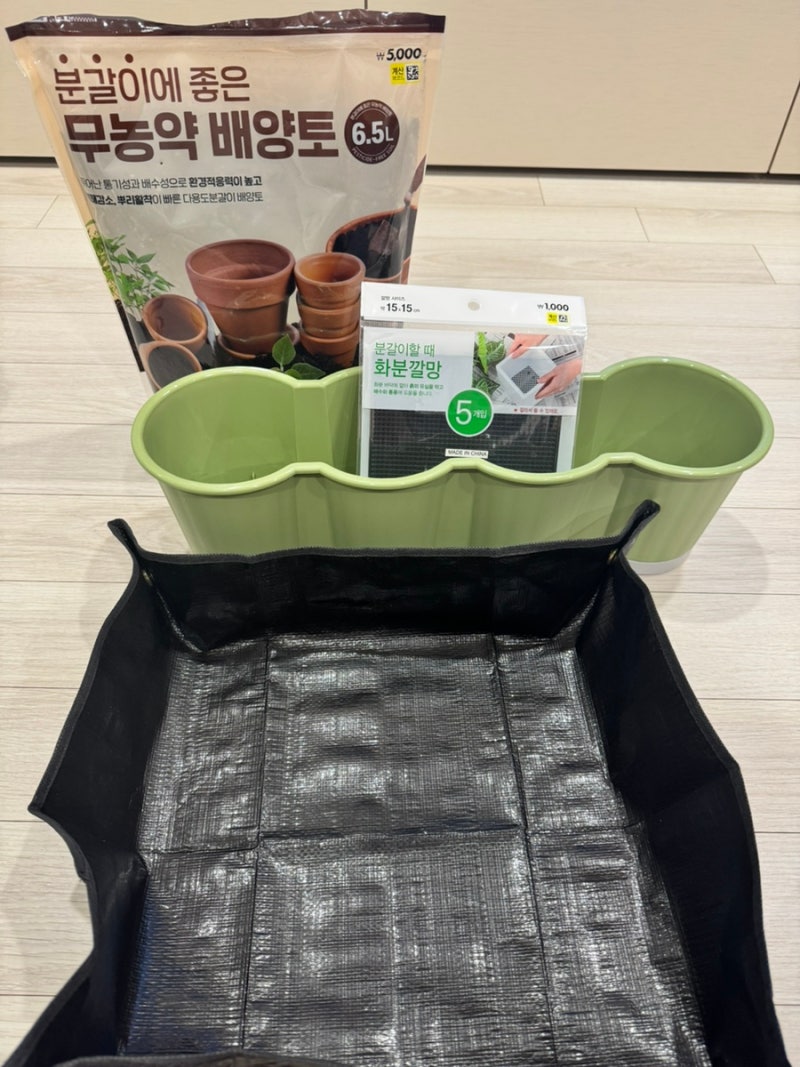 [다이소 방울토마토/고추 키우기] 고추 분갈이 해주기, 페스트세븐가드 살충제 추천, 뿌리파....