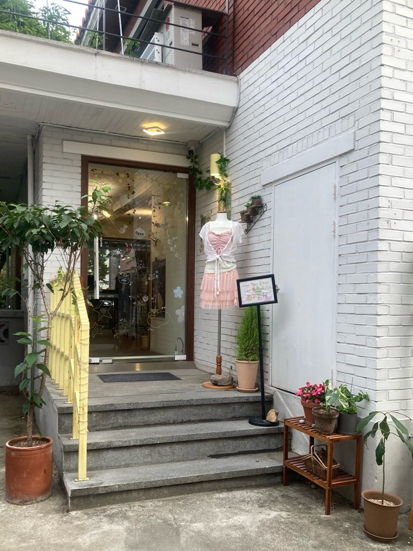 모리 사진 2