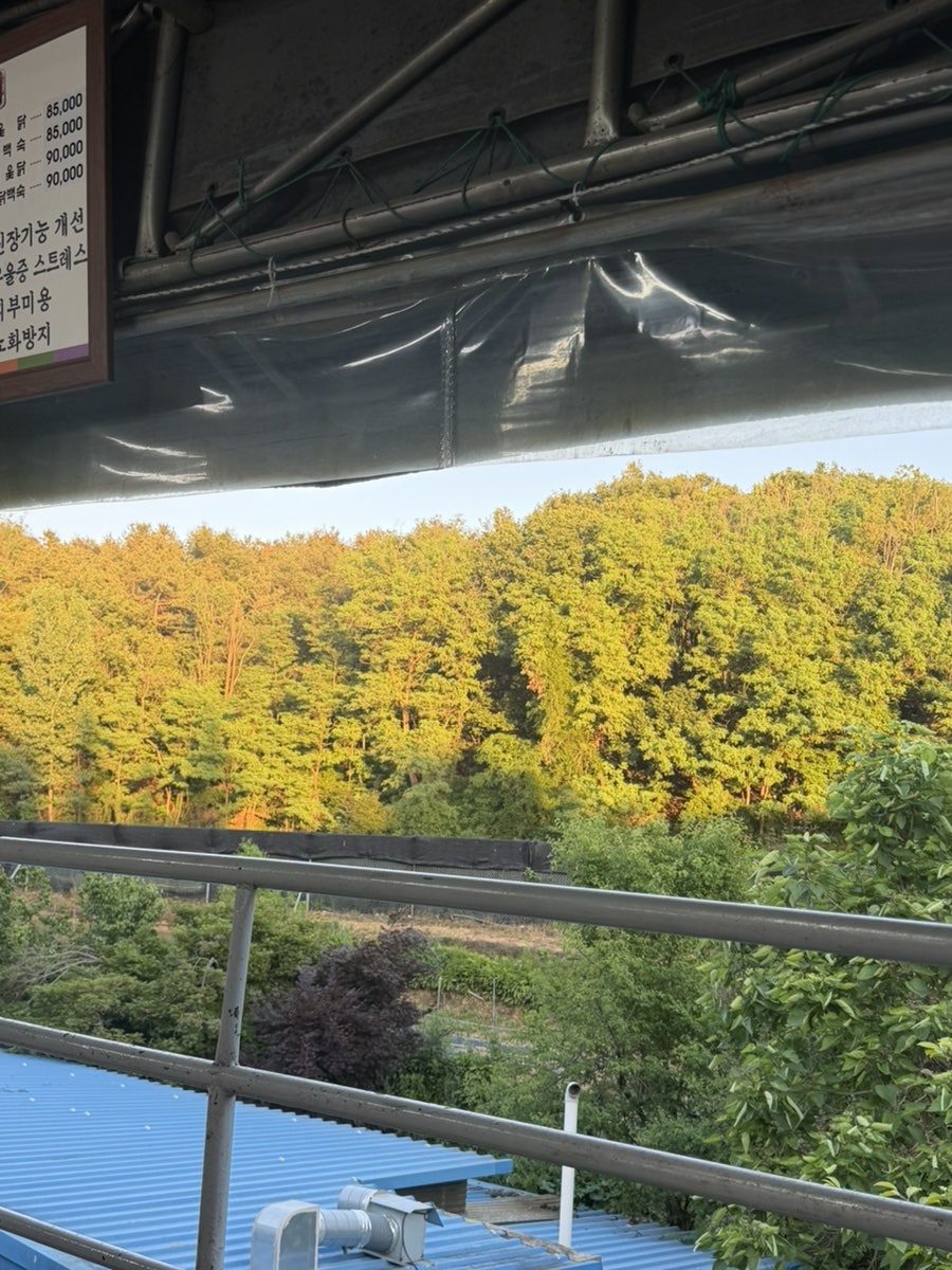 박씨농원 사진 6