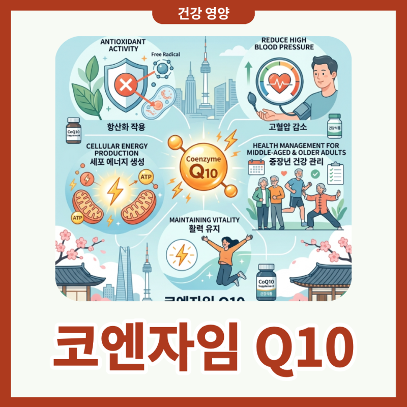 코엔자임Q10 효능 부작용 흡수율 좋은 하루 섭취량 및 복용 방법
