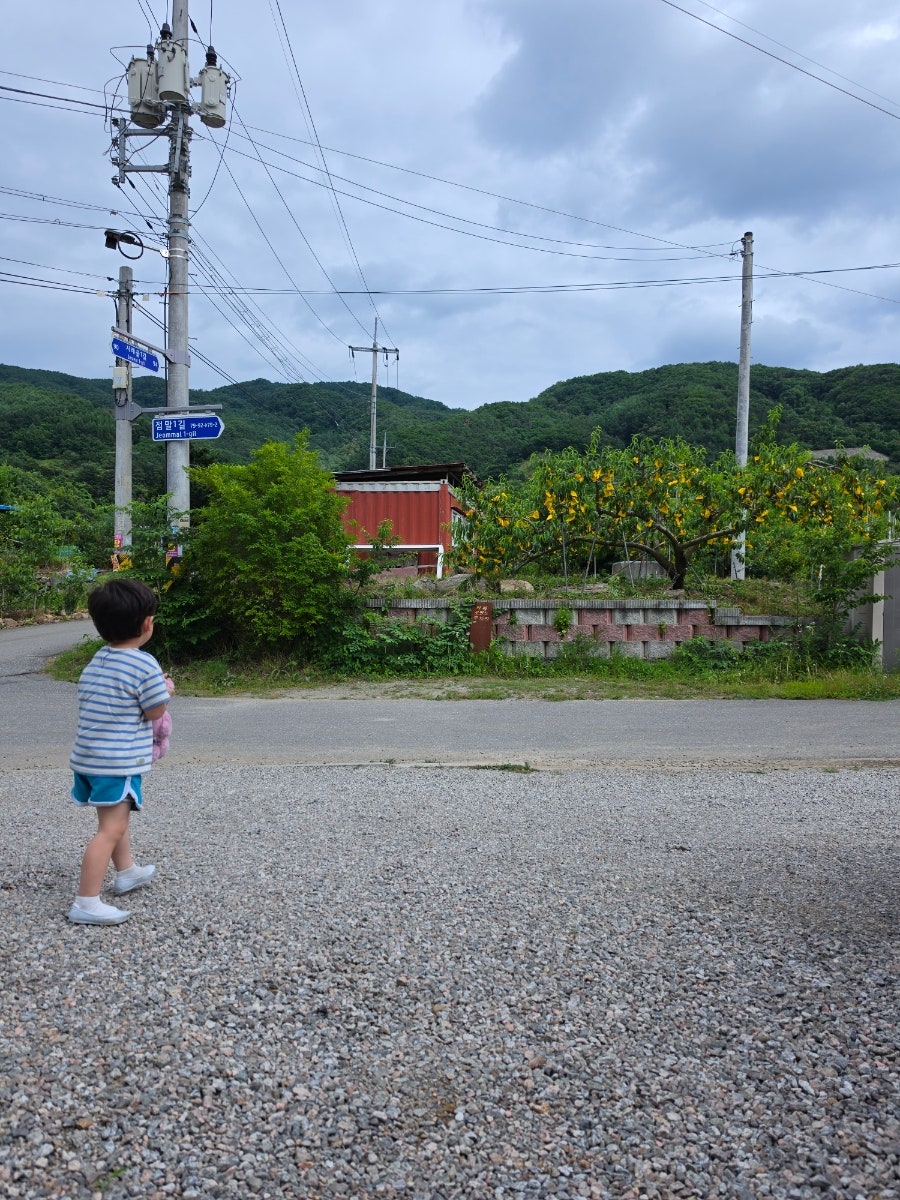 로떤느 사진 1
