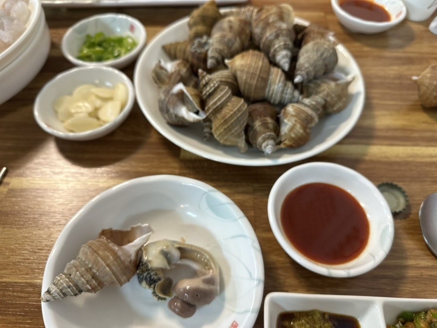 통발 사진 5