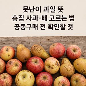 못난이 과일 뜻, 흠집 사과 배 공동구매 싸게 사는 법