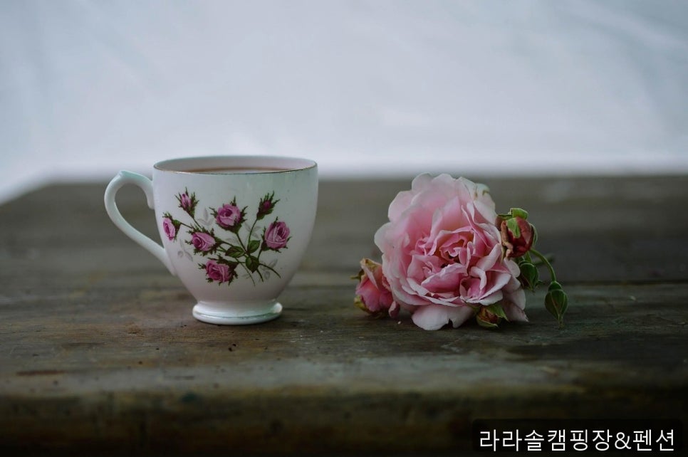 라라솔캠핑장&펜션 사진 3