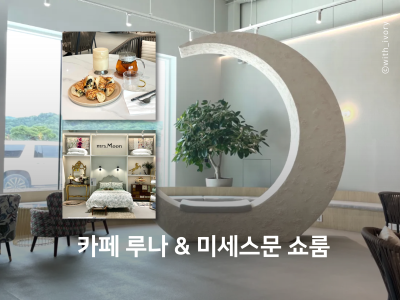 김천 대형 카페 & 침구 쇼룸 미세스문 OPEN !