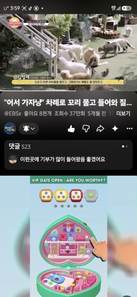 나눔오리 사진 7
