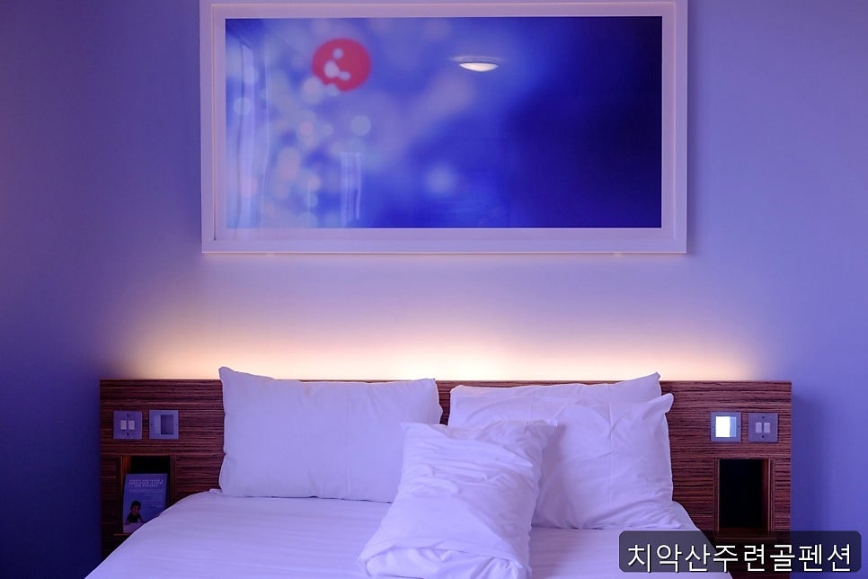 치악산주련골펜션 사진 1