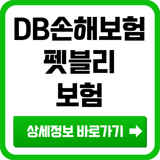 DB손해보험 펫블리 반려견보험 — 일반형·재가입용 보험료·담보 비교