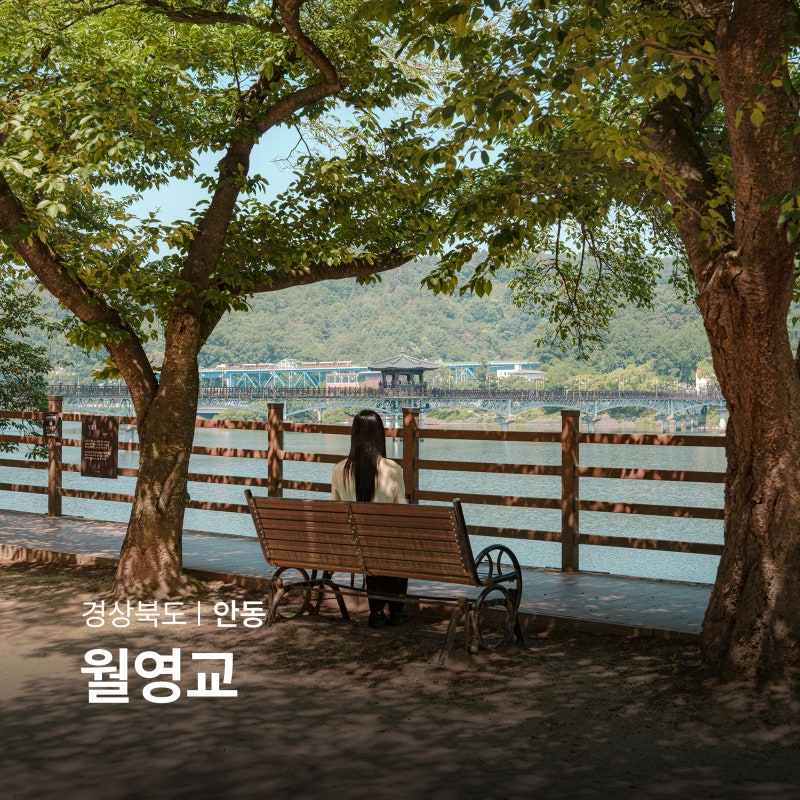 안동 월영교 문보트 안동댐 야외 데이트 가볼만한곳