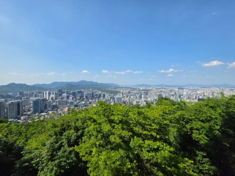 [남산타워 주차장 꿀팁] 주말 데이트 코스 솔직후기